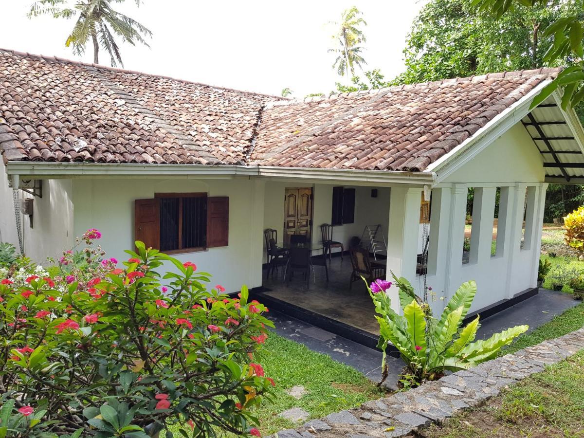 Chitra Ayurveda *