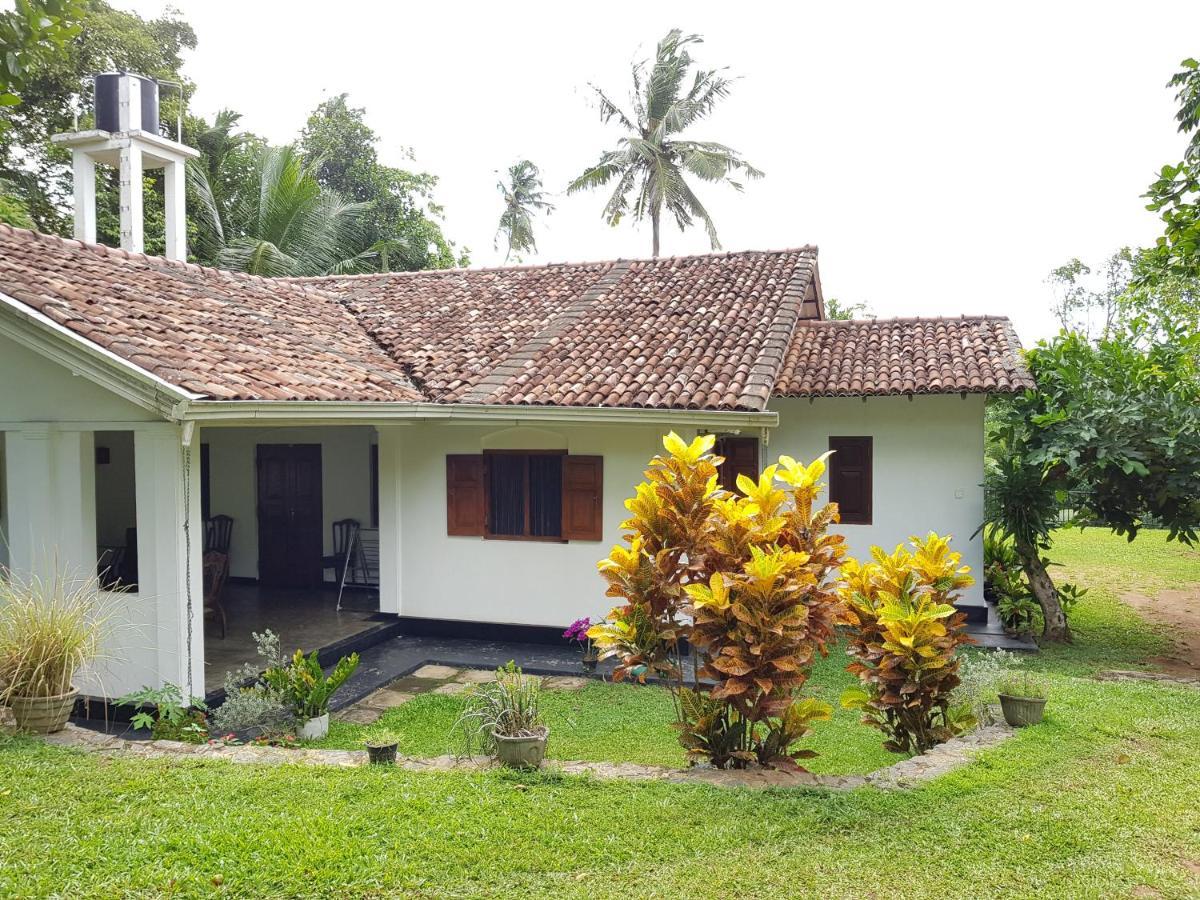 Hotel Chitra Ayurveda *